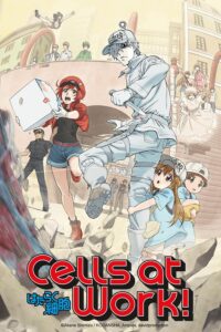 Hataraku Saibou BD Sub Indo Batch