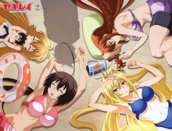 Sekirei Hajimete no Otsukai Sub Indo