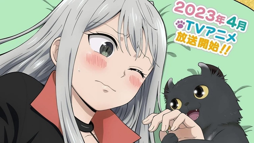 Kawaisugi Crisis Sub Indo