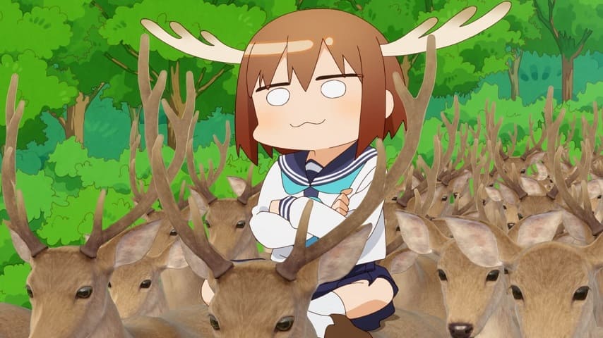 Shikanoko Nokonoko Koshitantan Sub Indo